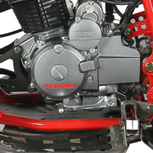 Manual Transmission Sporty four-speed transmission with reverse, along with the Pentora 250’s exhilarating powerband, means there’s a choice of gears in just about all situations.
